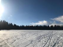 IMG-20230214-WA0004