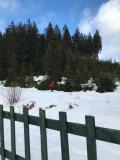 IMG-20230214-WA0012