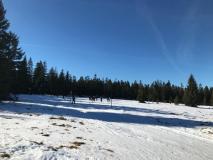 IMG-20230214-WA0014