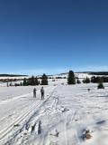 IMG-20230214-WA0017