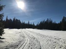 IMG-20230214-WA0018