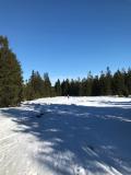 IMG-20230214-WA0021