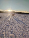 IMG_20230213_165011