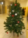 DSCN0175