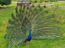 IMG_20240621_105001