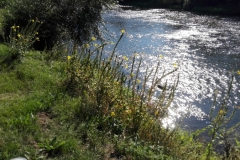 IMG_20180912_154532