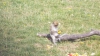 IMGP0926.JPG