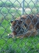 IMG_20150908_124934.jpg