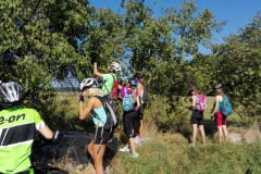 IMG_20160915_104254