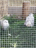 IMG_20210908_152554
