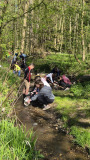 IMG-20260513-WA0008