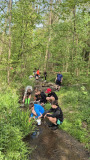 IMG-20260513-WA0012