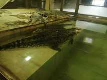 IMG-20230912-WA0018