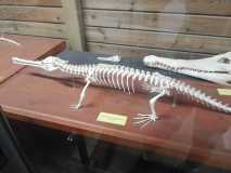 IMG-20230912-WA0022