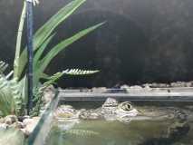 IMG-20230912-WA0023