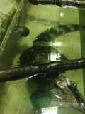 IMG-20230912-WA0025