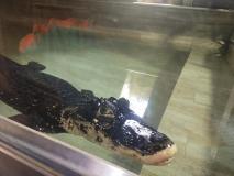 IMG_20230912_141959