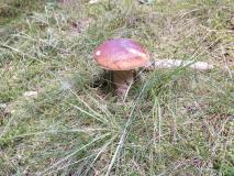IMG_20230914_103319