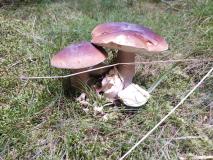 IMG_20230914_103322