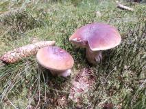 IMG_20230914_103326