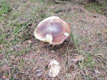 IMG_20230914_103817