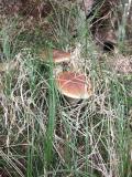 IMG_20230914_104700