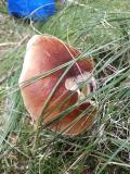 IMG_20230914_104923
