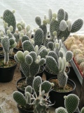 IMG_20220908_130055