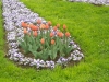 dscn2611