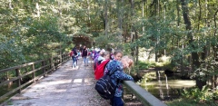 20190919_105651