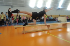 DSCN1378