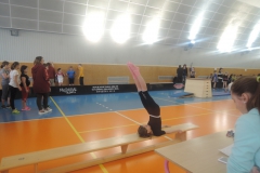 DSCN1391