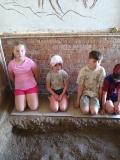 IMG_20250604_103831