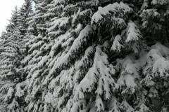 IMG_20170116_093303