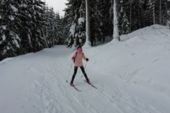 sdr