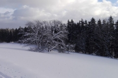 IMG_20190114_140327