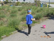 DSCN3708