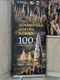 1000046208