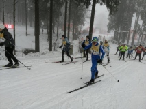 IMG_20200207_104857_1