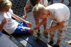 IMG_20180905_163351