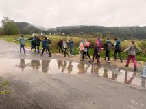 1000031313 1000031313