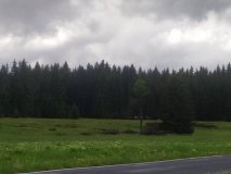 1717083588111