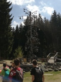 IMG_20220510_113751