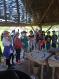 IMG_20230525_103408_1