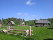 IMG_20230525_103843_1