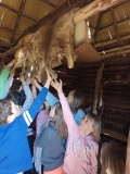 IMG_20230525_115324