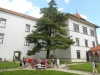 dscn3228