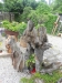 dscn3016