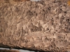 dscn3029