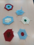 IMG_20210526_151642